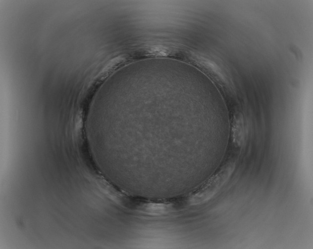 X0000113950314200909251344