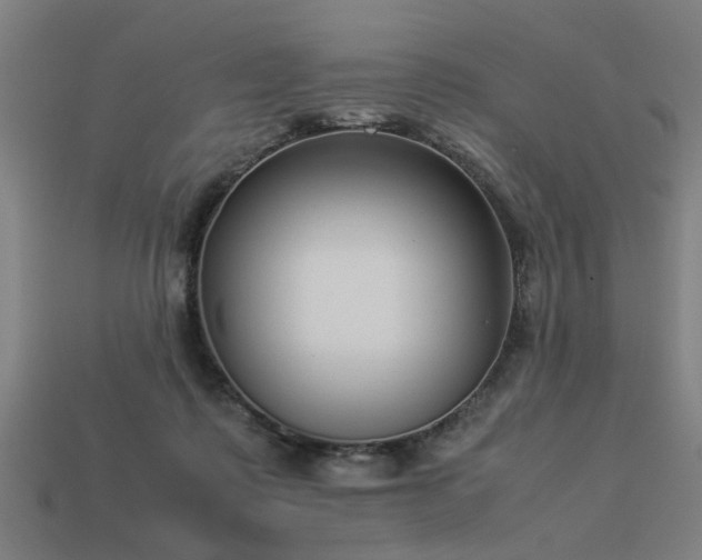 X0000113950315200909251344