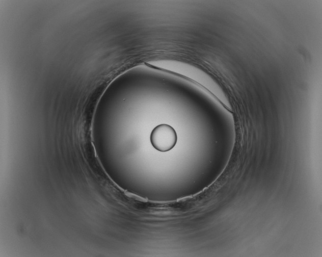 X0000113950316200909251344