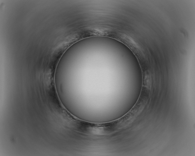 X0000113950318200909251344