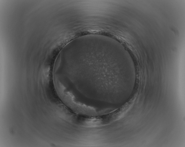X0000113950319200909251344