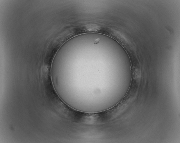 X0000113950321200909251344