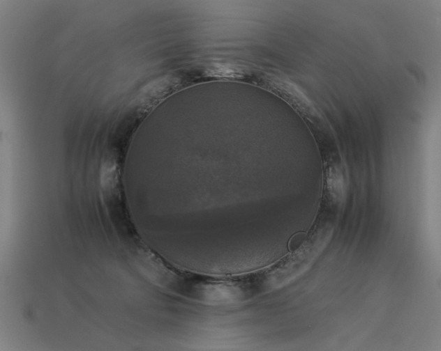 X0000113950322200909251344