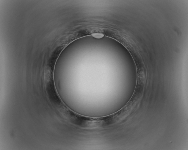 X0000113950323200909251344