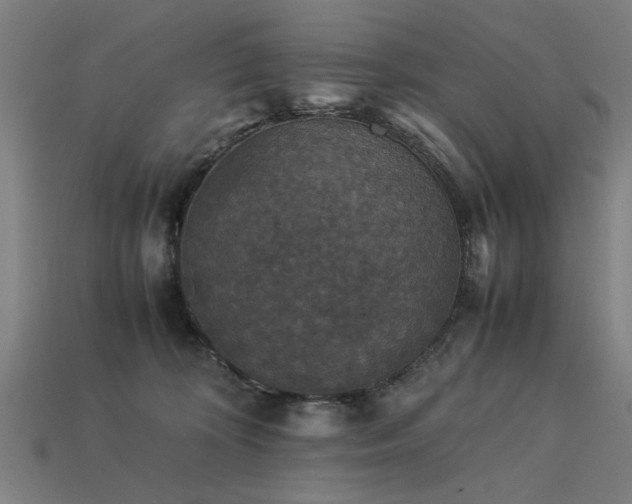 X0000113950324200909251344