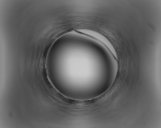 X0000113950325200909251344