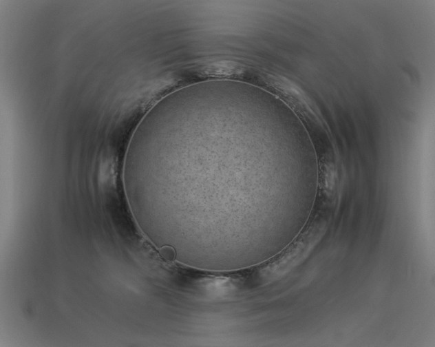 X0000113950326200909251344