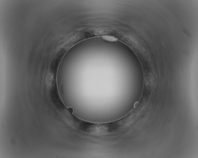 X0000113950327200909251344