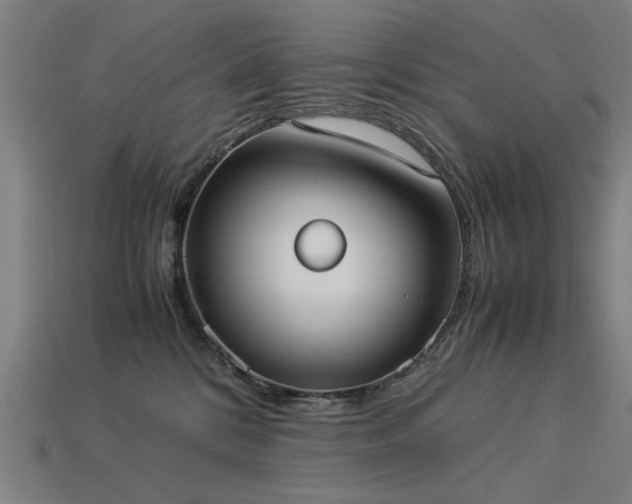 X0000113950328200909251344