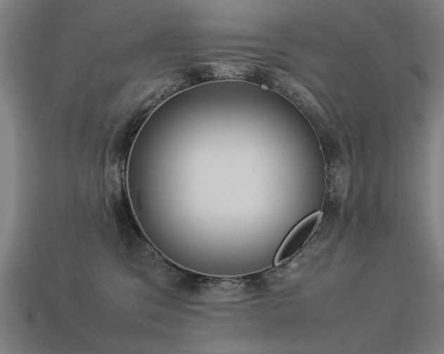 X0000113950329200909251344