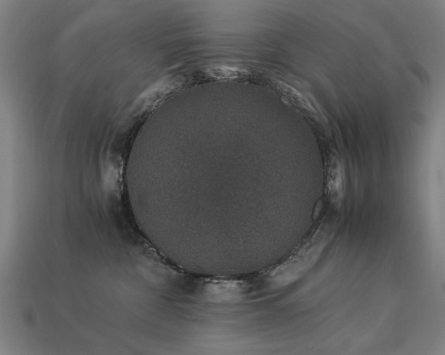 X0000113950332200909251344