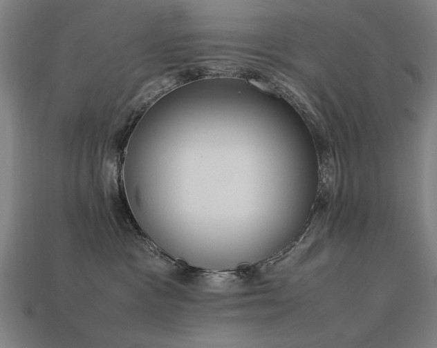 X0000113950333200909251344