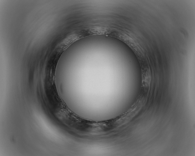 X0000113950334200909251344