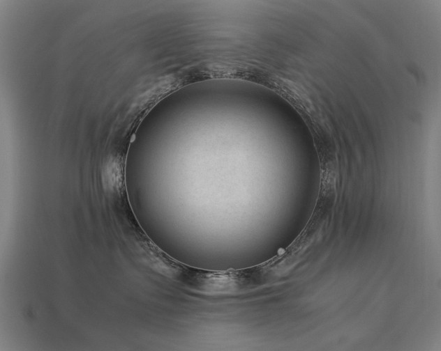 X0000113950335200909251344