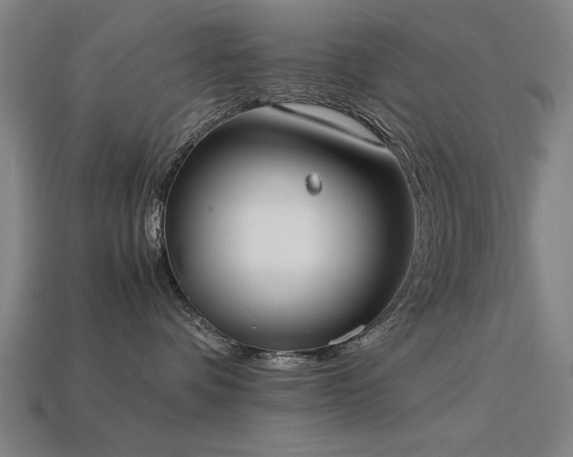 X0000113950336200909251344