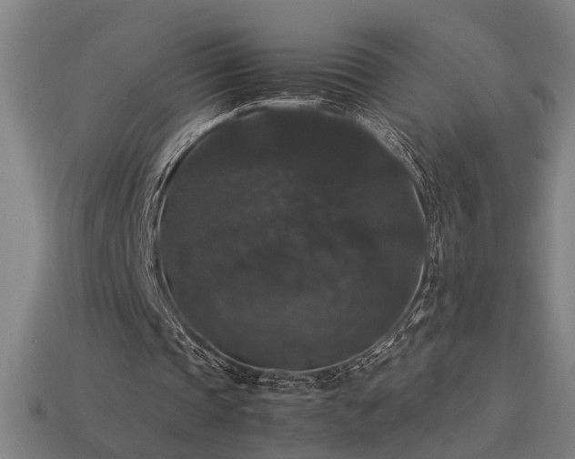 X0000113950337200909251343