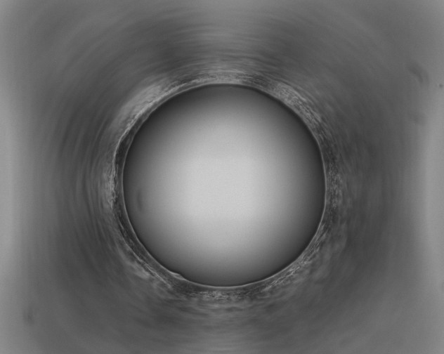 X0000113950338200909251343
