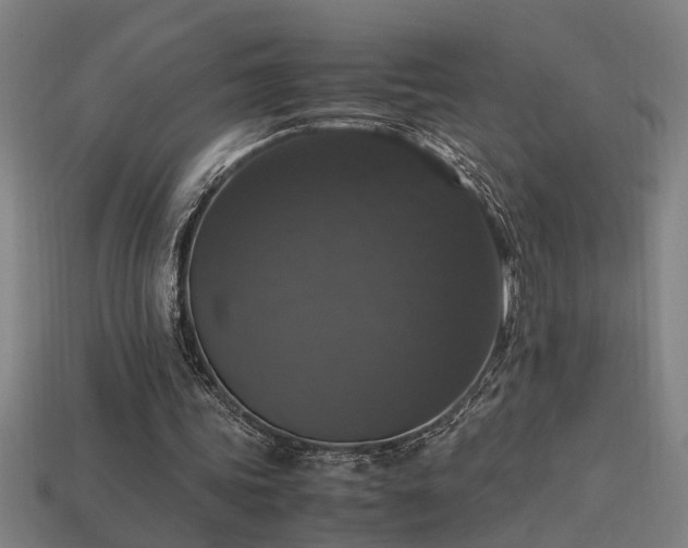 X0000113950339200909251343