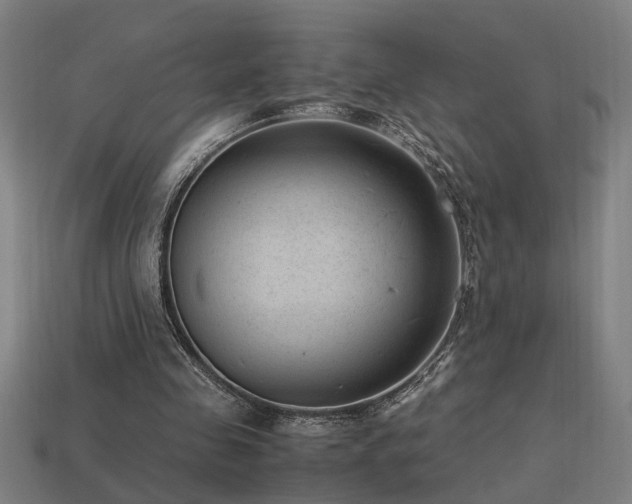 X0000113950341200909251343