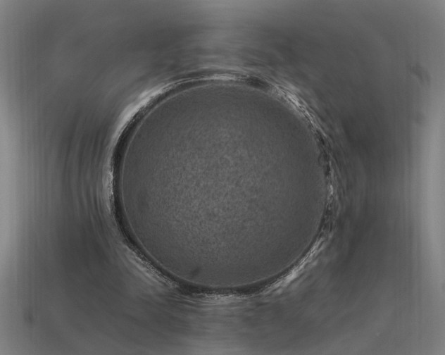 X0000113950342200909251343