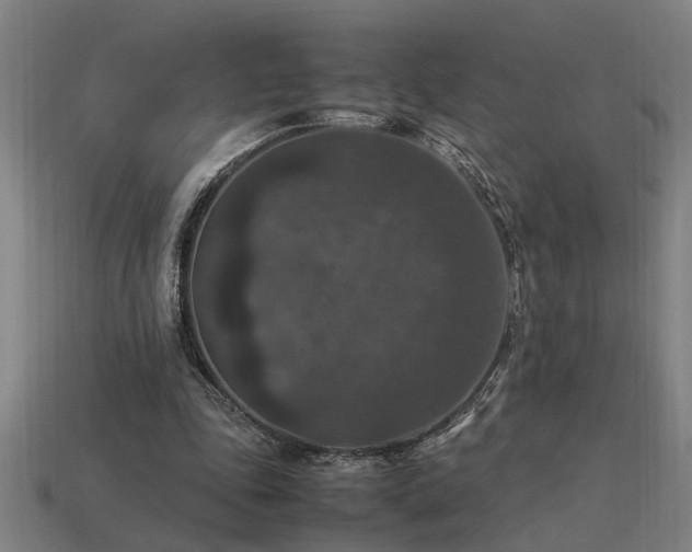 X0000113950343200909251343