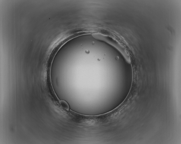 X0000113950344200909251343