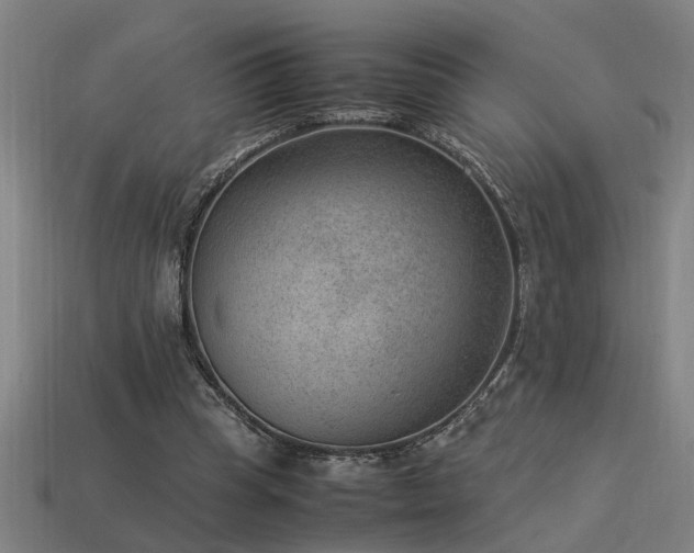 X0000113950345200909251343