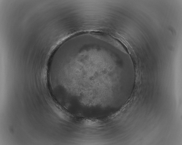 X0000113950346200909251343