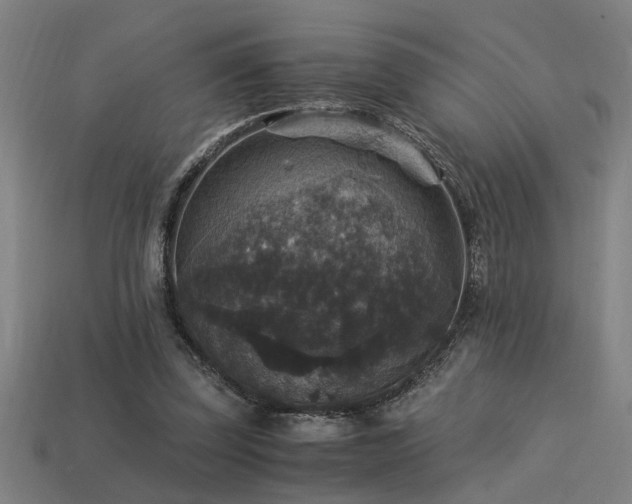 X0000113950347200909251343
