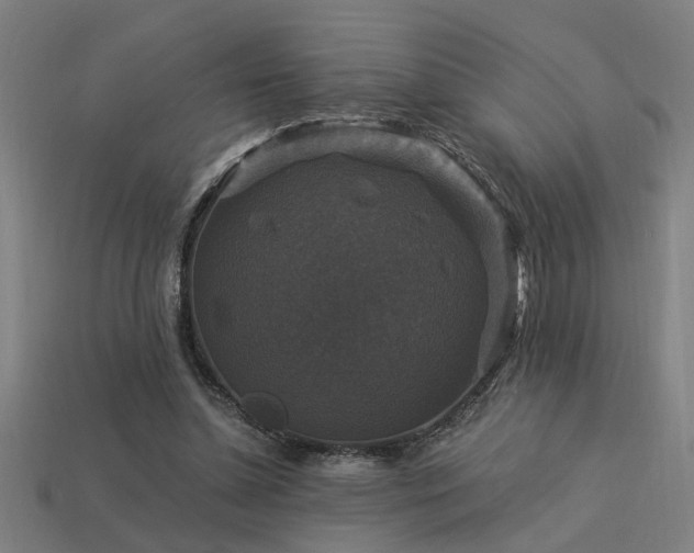 X0000113950348200909251343