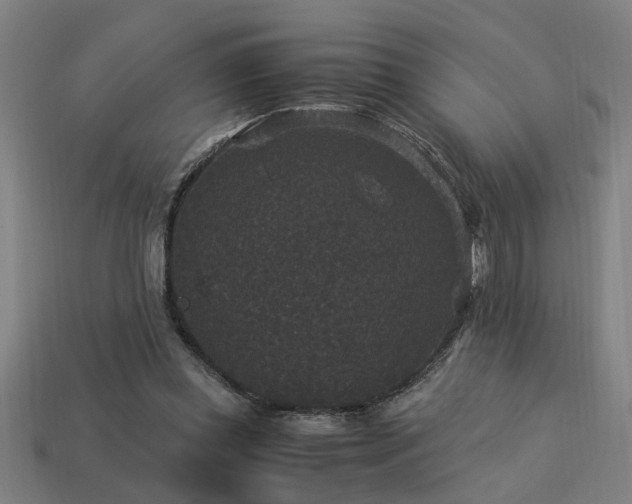 X0000113950349200909251343