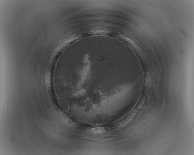 X0000113950353200909251343