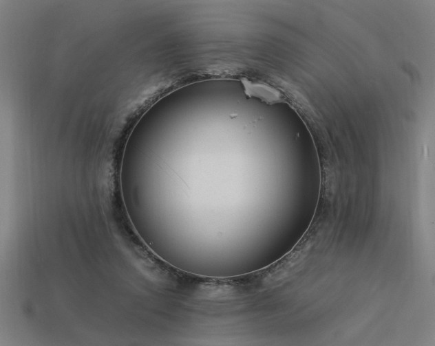 X0000113950354200909251343