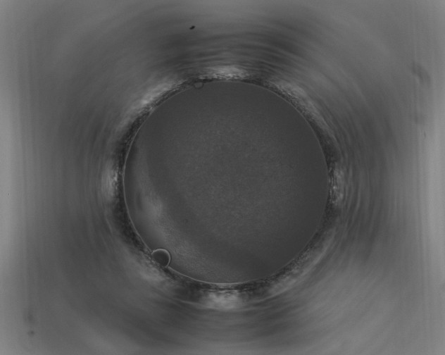 X0000113950355200909251343