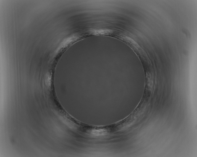 X0000113950357200909251343