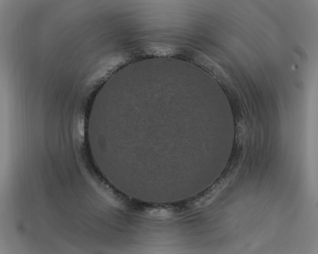 X0000113950358200909251343