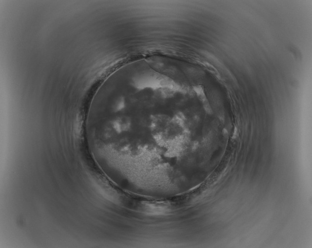X0000113950359200909251343