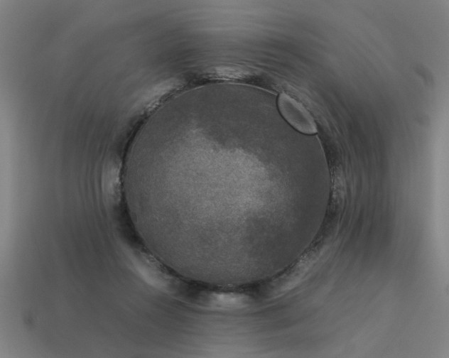 X0000113950360200909251343
