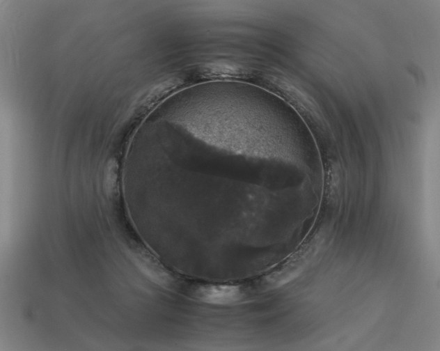 X0000113950361200909251343