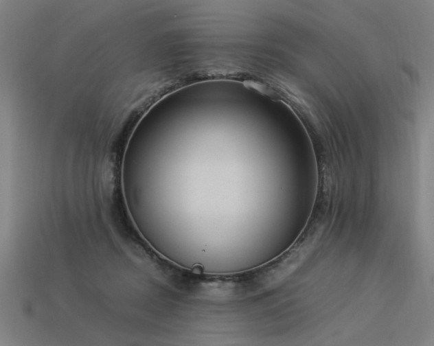 X0000113950362200909251343