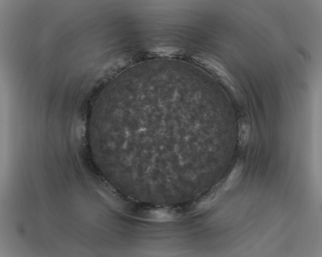 X0000113950365200909251343