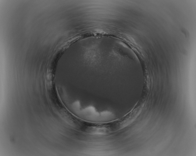 X0000113950366200909251343