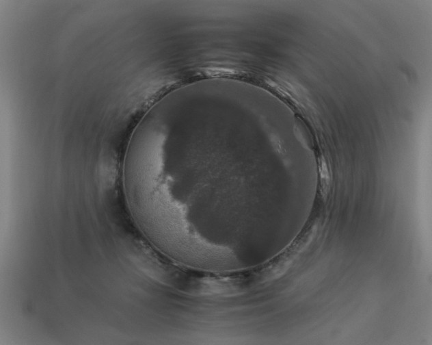 X0000113950367200909251343
