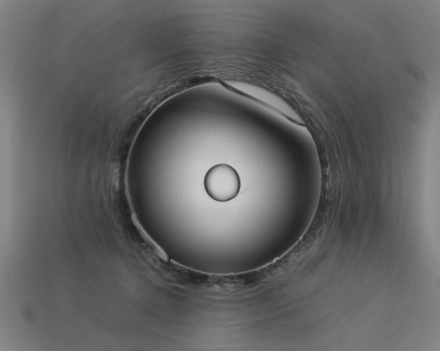 X0000113950368200909251343