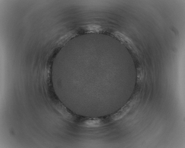 X0000113950369200909251343