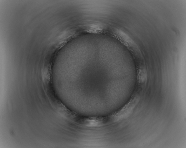 X0000113950370200909251344