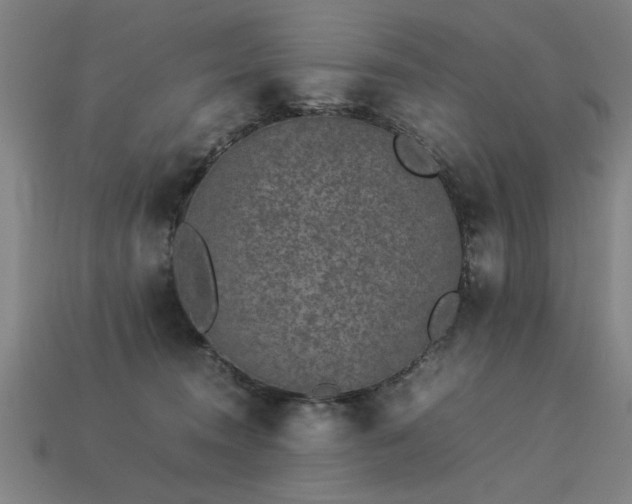 X0000113950372200909251344