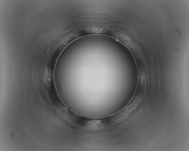 X0000113950374200909251344