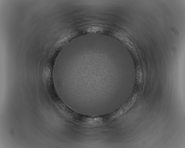 X0000113950375200909251344