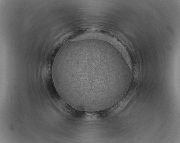 X0000113950376200909251344